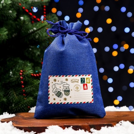 Gift bag with thermonacleka, 16 x 24 cm, blue