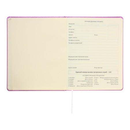 Universal Diary for Butterfly 1-11 grade, solid cover, artificial leather, foamy, foil embroidery, liesse, 80 g/m2-4