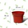 Pot for seedlings, 5 l, d = 22 cm, h = 18 cm, terracotta, Greengo