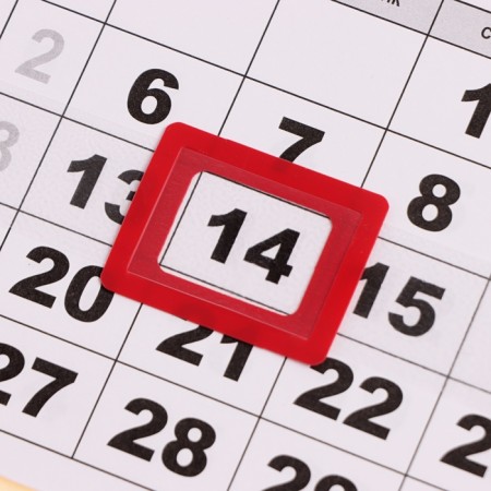 Calendar quarterly Mini -Trio "Symbol of the Year - 5" 2025, 19 x 46 cm-2