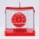 The cage for rodents equipped RT-2Q, 22 x 16 x 20 cm, red