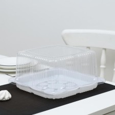 The cake is a plastic disposable with a connective lid UT47, a square, an external size 24.8 × 24.8 × 10.6 cm, the internal 21.4 × 21.4 cm, the color is transparent