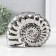 Souvenir ceramics "shell spiral" silver 20.5x6x16 cm
