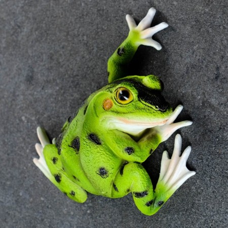 Suspension decor "frog" 6x16x18cm-1