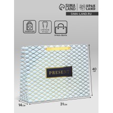 Gift Laminated Horizontal Pressent Gift, l 40 × 31 × 14 cm