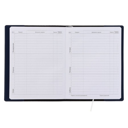 Universal diary for grade 1-11 Blue, soft cover, artificial leather, thermo embossing, liesse, 80 g/m2-4