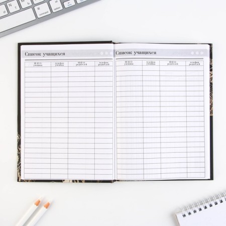 Set "Golden Teacher": A5 diary A5 160 sheets, planing 50 sheets and pen Plastic-8