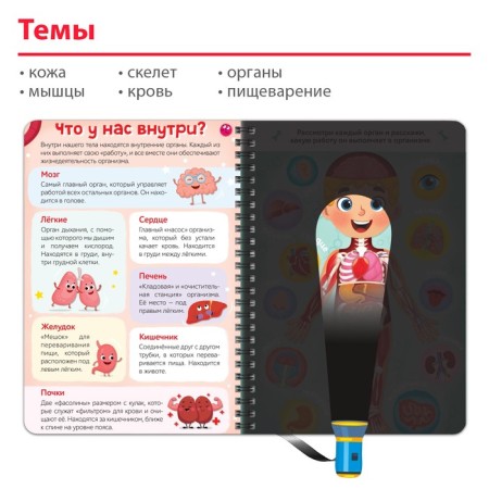 Smart book with the flashlight "My Body". Light and study, 30 p.-3