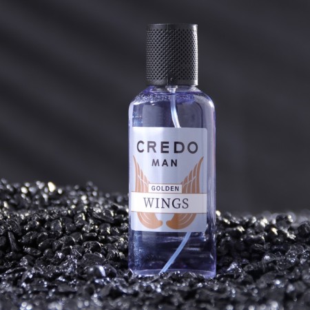Men's toilet water Credo Man Golden Wings, 100 ml (based on Invictus (P.Rabanne)-1