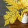Sukhotzet "Paporotnik", yellow, 10 pcs. packaged