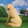 Garden figure "Dog Labrador" 47x30x47cm