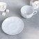 Tea pair of porcelain "grenade", 250 ml, cup D = 9.2 cm, bdudets d = 15 cm