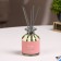 Diffusor aromatic Hygge #15 Sandal tree 100 ml