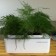Hydroponic installation, hobbyfarm mini