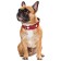 Leather collar for dogs Hunter Swiss 60, 47-54 cm, red/black