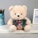 Soft toy "Bear", 26 cm, Mix colors