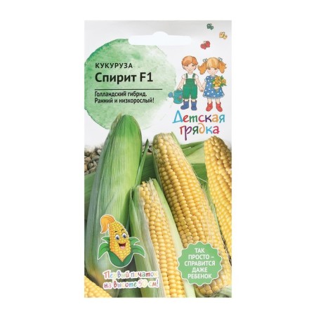 Corn seeds "Spirit", "Children's bed", 10 pcs