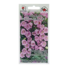 Flower seeds bell 