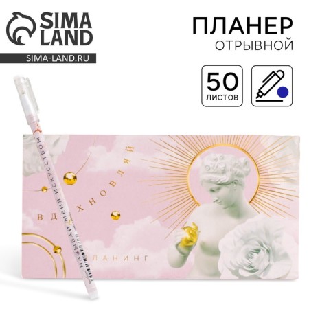 Gift set "Dream": Planing and Pen Plastic