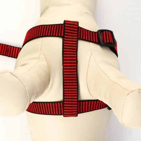 Acunition set is embossed, leash 120 x 2 cm, og 44-50 cm, red-black-4