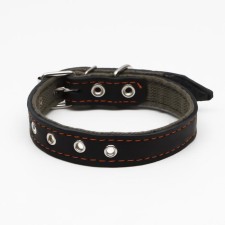 Collar combined leather/tarpaulin, dimensionless, 54 x 2.5 cm, Osh 17-45 cm, black