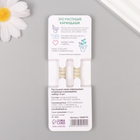 Growing gift pencils mini "chamomile + lavender" set 2 pcs.-1
