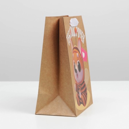 Package Gift Crafts Vertical, packaging, “Gift to you”, MS 18 x 23 x 8 cm-2