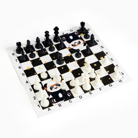 Chess - checkers "Game time", board game 2 in 1, 32 x 32 cm-6