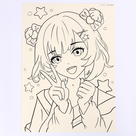 Sketching set for creativity. Anime: girl and bird "-4