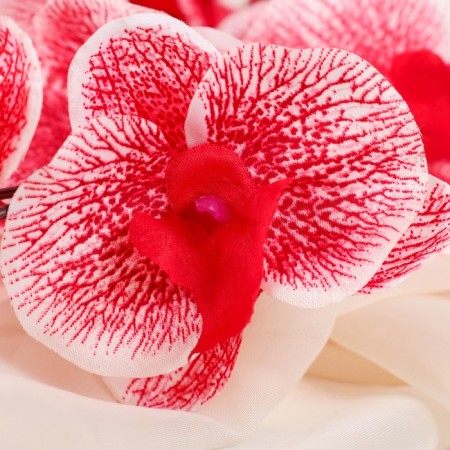 Artificial flowers "Orchid Phalaenopsis" 8x80 cm, red-1
