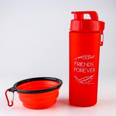 Set of drinking bowl and silicone bowl "Friends forever"-1