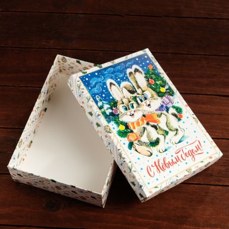 Box the team cover is, with the window, "Bunny", 21 x 15 x 5.7 cm-3
