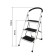 Steel stepladder Deli DL509013 123215, 3 steps, 670 mm