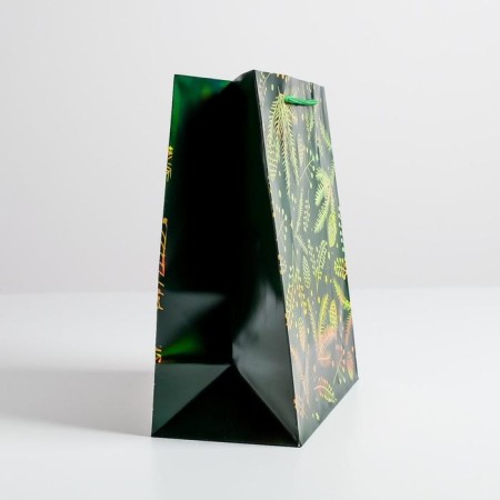 Packet Hologography Vertical “Bumps”, Ml 23 x 27 x 11.5 cm, New Year-1