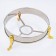 Stainless steel marmitis is round on a heating stand, 26 × 22 cm, glass cover