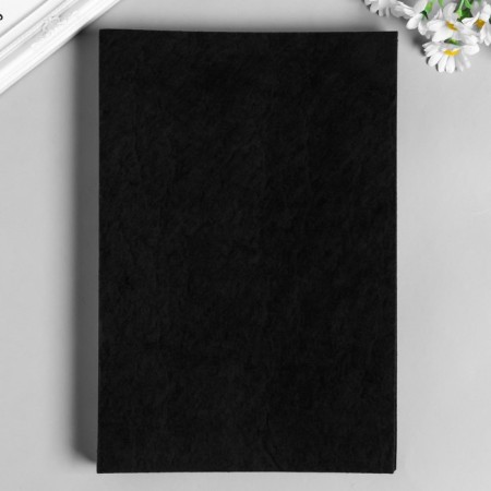 Hard felt 2mm 20x30 cm ts.659 black-2