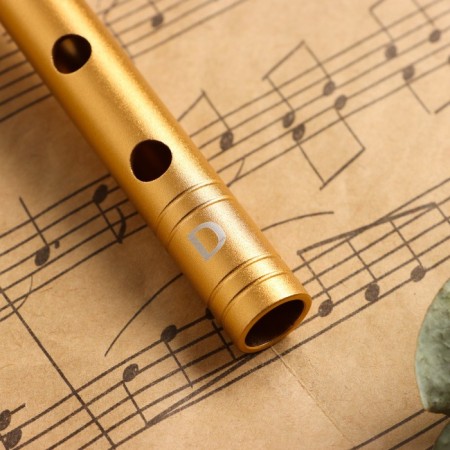 Flute Music Life D Gold, Pro, 30 cm-1