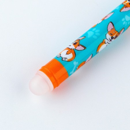 PEC PLACE WRITE-WRITIRY WITH A CORGIC cap, Blue pasta, gel 0.5 mm-5