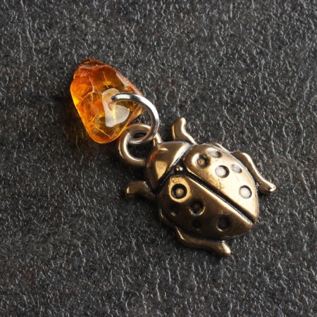 Talisman Talisman "God's cow", brass, amber-1