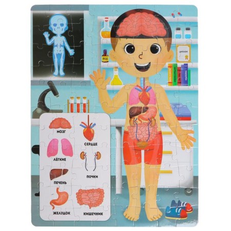Puzzles luminous "X-ray-cabinet", 88 details-1