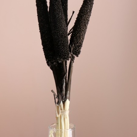 Set of dried flowers "African millet", banch 3-5 pcs, length 60 (+/- 6 cm), graphite-1