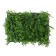 Decorative panel, 40 × 60 cm, "Fwear", Greengo