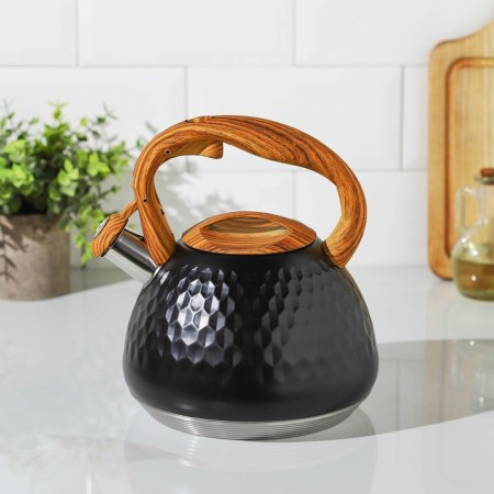 A kettle with a stainless steel whistle Magistro Heat, 3 L, TRS, Induction, Soft-Touch Hand, Black Color Black-2
