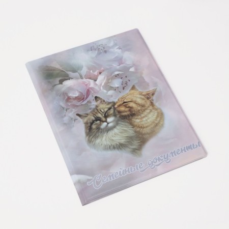 Folder for documents, 2 sets, pink color