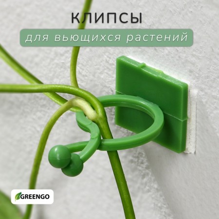 Fasteners for climbing plants, d = 20 mm, color mix, Greengo