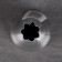 Confectionery nozzle "Open Star", d = 3 cm, exit 1 cm, stainless steel