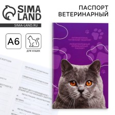 International universal veterinary passport for cats
