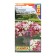 Petunia seeds minibello F1, a mixture of colors 7 pcs