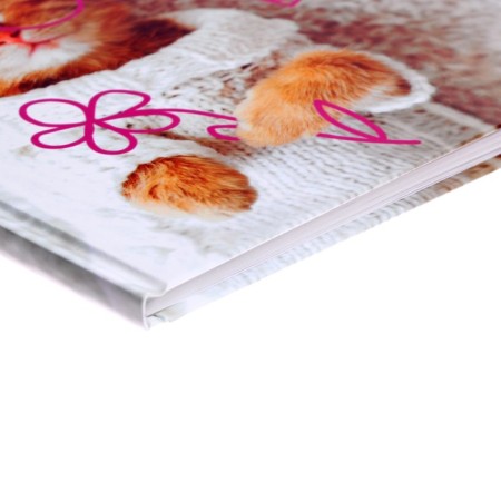 Diary for grades 1-4, "kitten in hearts", solid cover 7BC, glossy lamination, 48 sheets-2