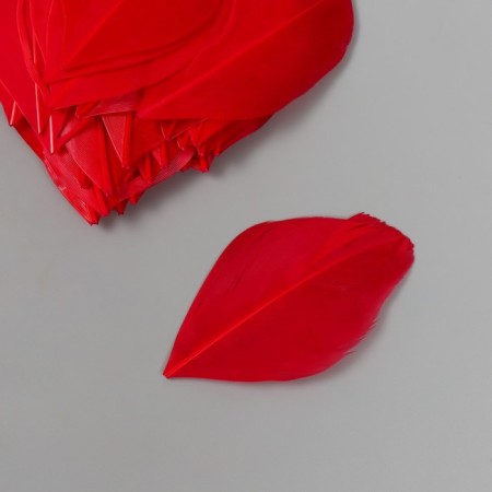 Decorative goose “scarlet” pen in the shape of a sheet set 40 pcs h = 5-7 cm-1